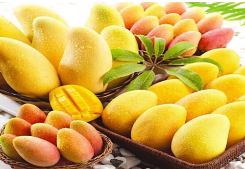 ��֦���ز�-â��