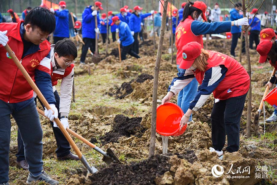 植樹公益活動現場，志願者們種下200余棵杉樹。人民網 李希蒙攝