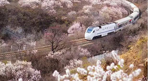 列车穿花海，文旅促振兴