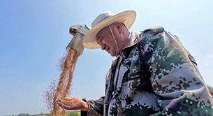 丰收啦，开心！