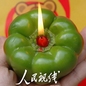 �߲˻���